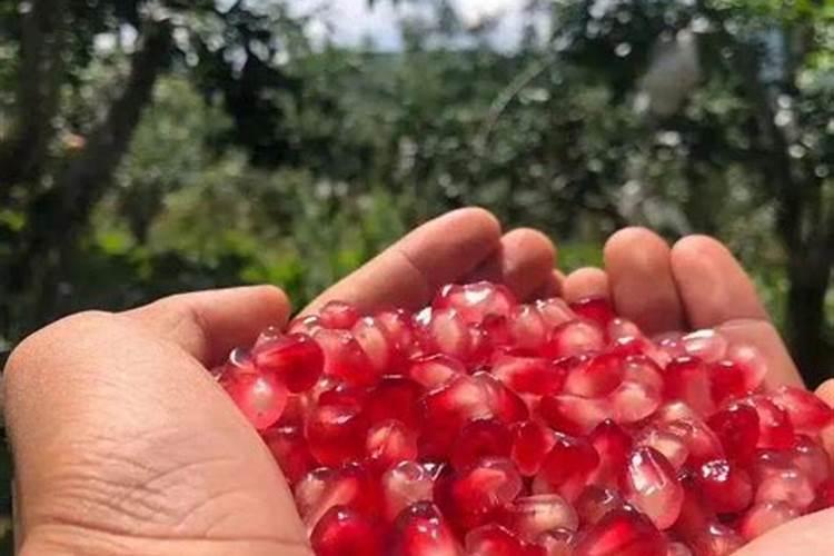 河南驻马店的土地用什么牌的肥料高产