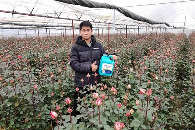 嘉诺控股集团靠谱吗