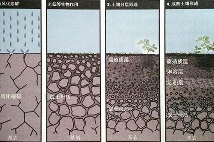 硅肥和钙肥能不能一起用