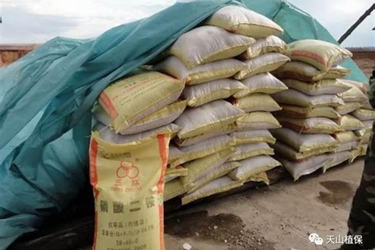 1亩5年桉树有多少吨 第二代桉树一般要怎么施肥