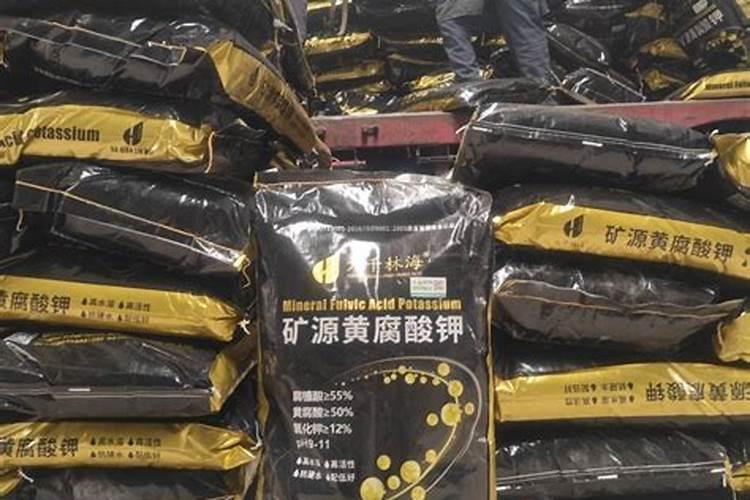 葡萄膨大期该如何管理 修剪技巧总结