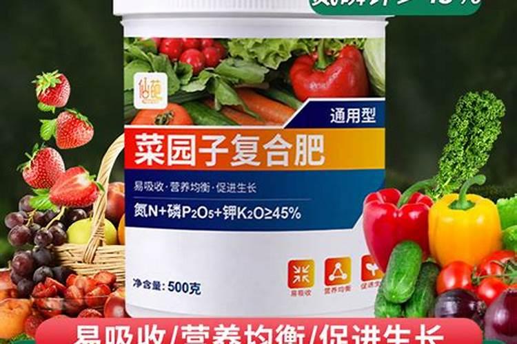 碧玉的养殖方法和注意事项