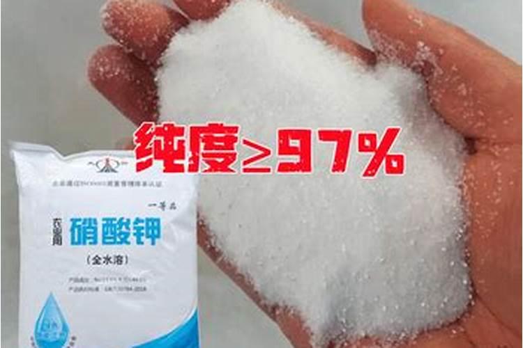 关于樱花精神的诗句