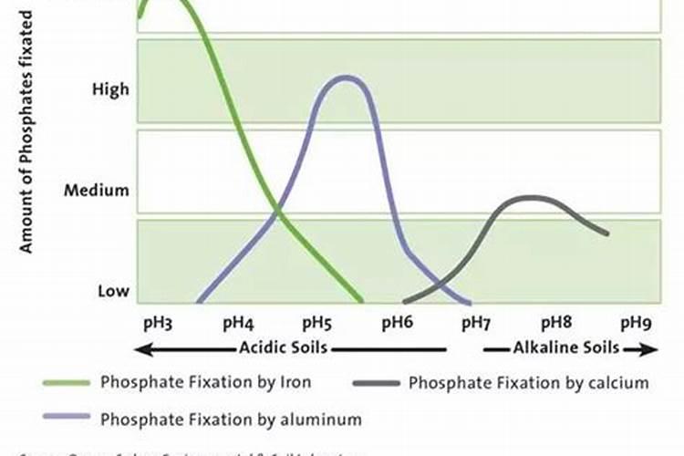 玉米苗打了控旺怎么解