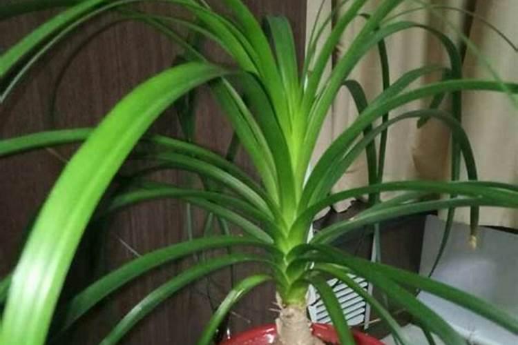 肥料受潮结块时间长有没有影响