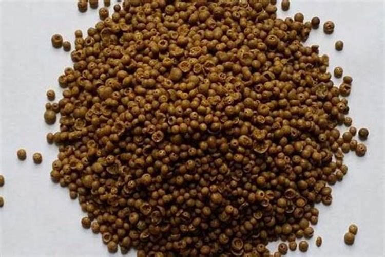 柚子皮能浇花吗