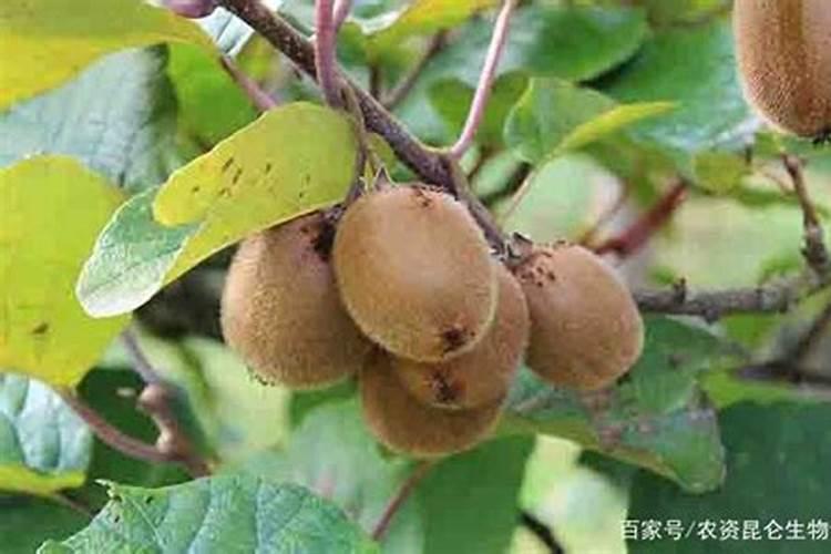 内蒙古蒙草抗旱股份有限公司公司简介