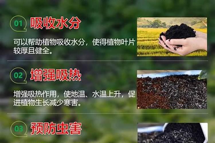 兰考有收中药材的吗