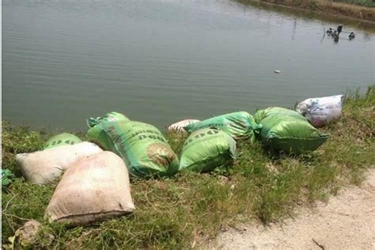 绿萝用什么肥料长得快