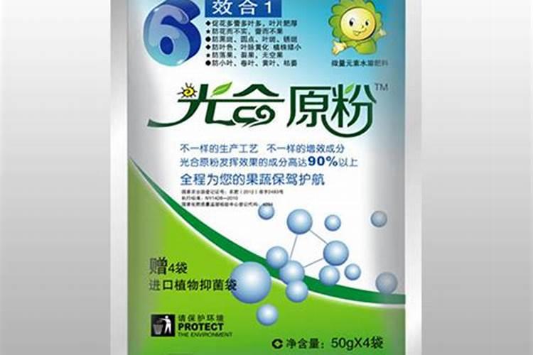 橙子什么时间种最好