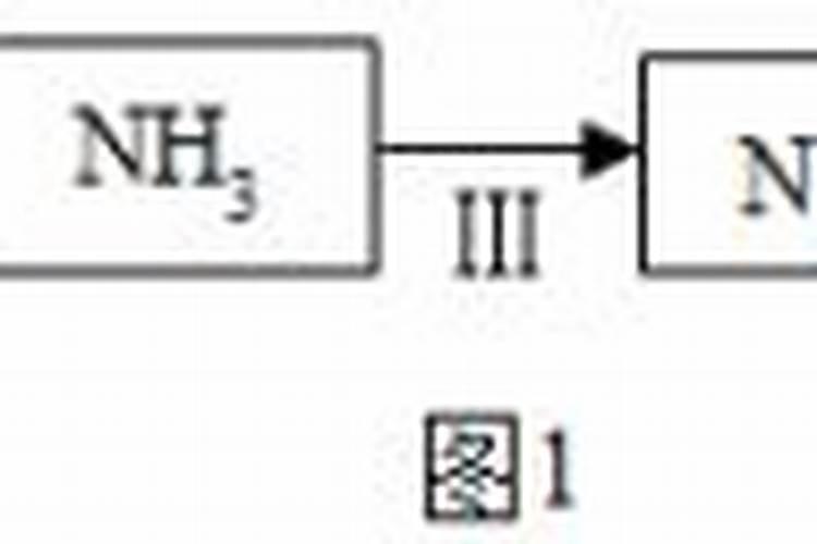 孕妇吃完钙片可以吃石榴吗