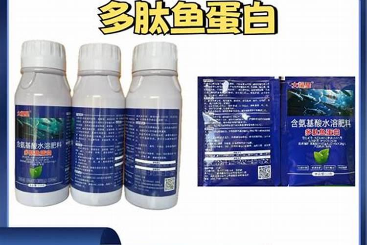 玉米地需要磷肥肥料吗