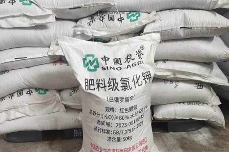 什么是土壤的活性酸度与潜在酸度