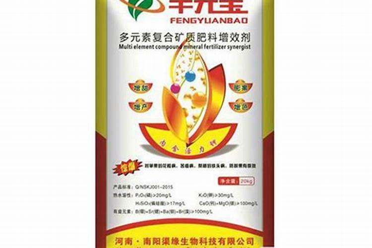 喷施叶面肥会导致玉米缺锌吗为什么