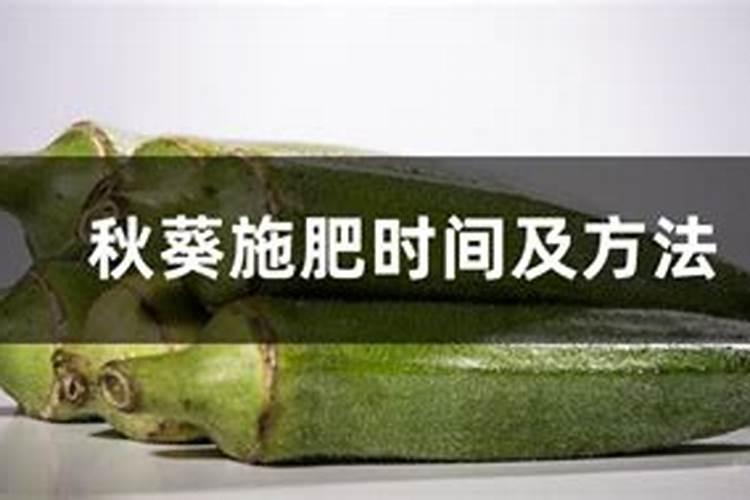 果树施硼肥怎么操作？果树施硼肥有什么用？