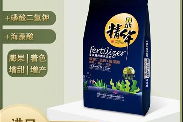 海藻肥是什么肥？了解海藻肥的作用