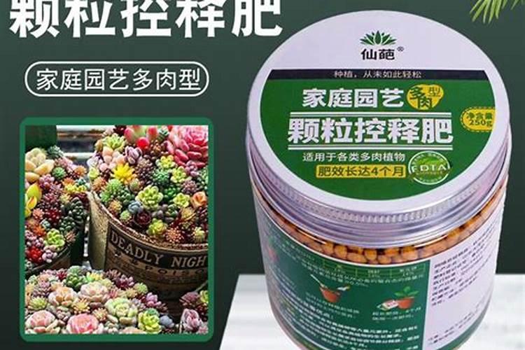 蔬菜缺钾症的形态是怎样的？