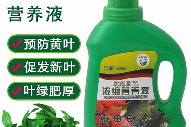 小麦复合肥十大名牌