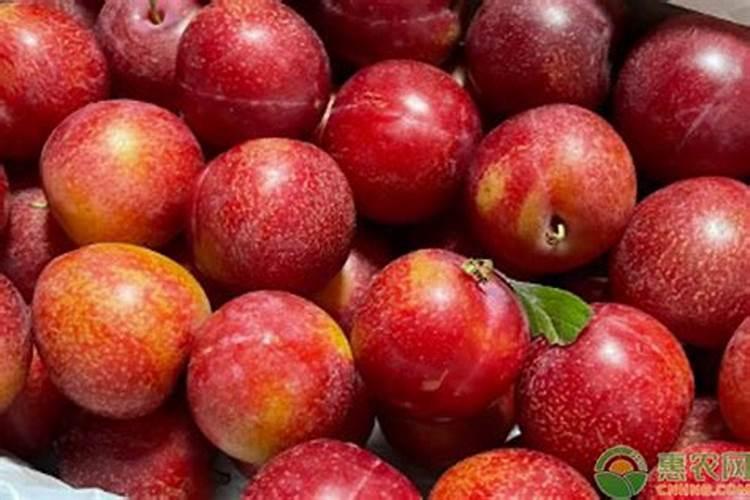 2026年玉米、大豆粮补预测!