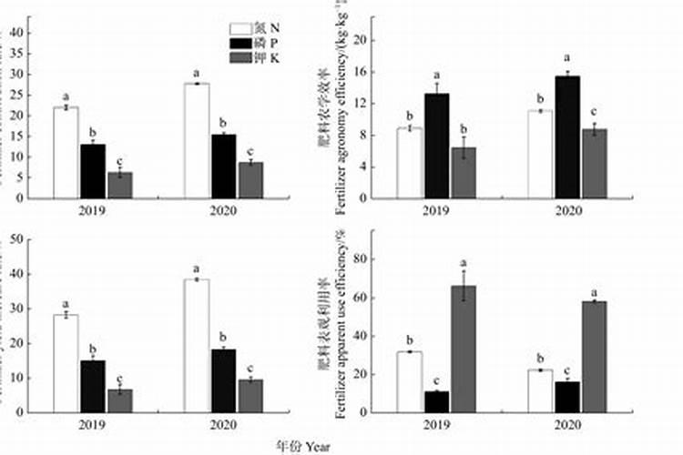 坚果摘果后施什么肥最好