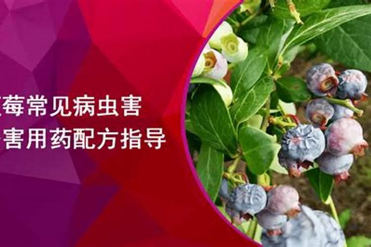 离化肥厂太近有影响吗