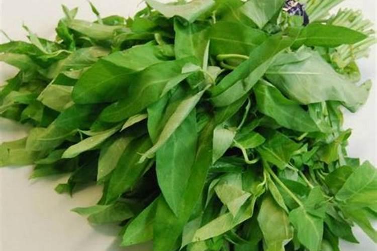 流体硼和硼酸有什么区别