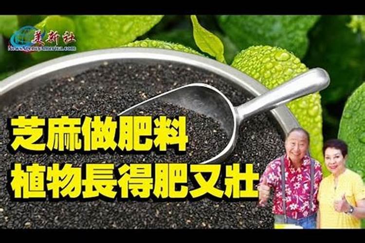 常用的氮 磷 钾肥 都有什么那些有机的肥料就是说,象 麻渣,粪便什么的...