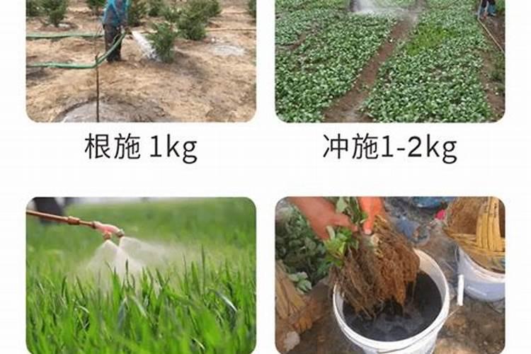 养鹅种草用什么肥料好