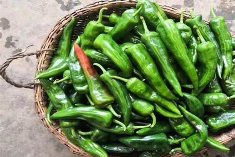大棚菜椒适合含哪种微量元素高的 肥