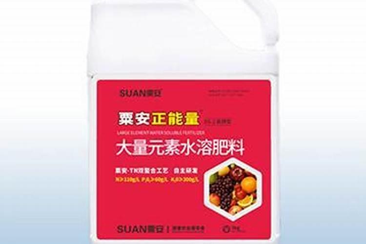 保花保果,防止柑橘落花落果的措施