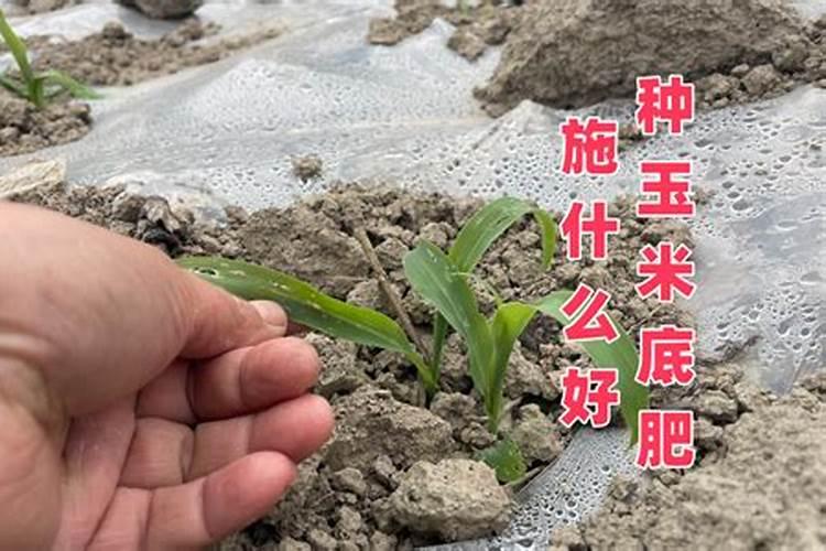 全球粮食警报拉响,“出口大户”被制裁,国际化肥市场将迎变局？