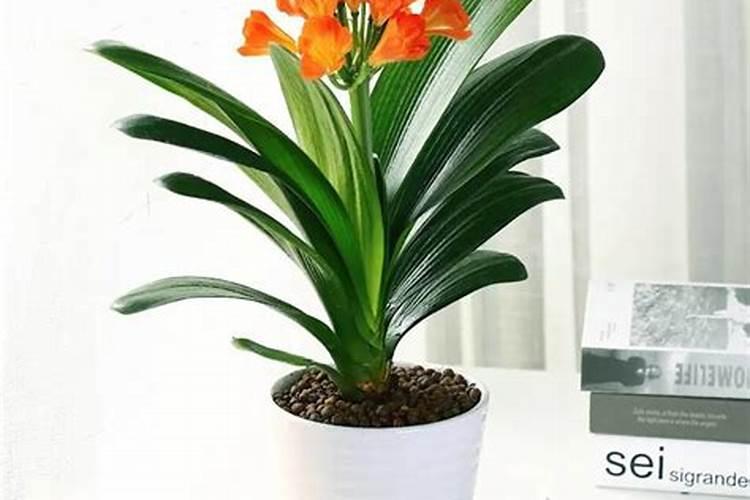 中国最好的硅肥生产企业有哪些？推荐几家,我想代理硅肥