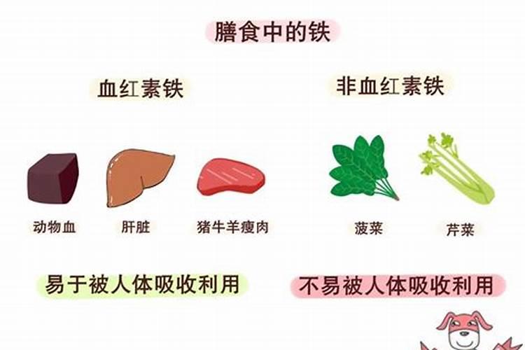 月季花起白粉病怎么办