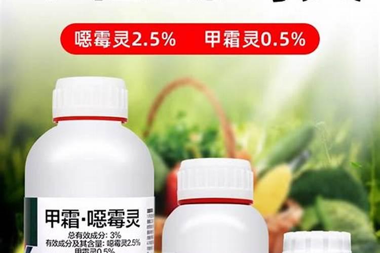 防治茎基腐的高效药剂有哪些