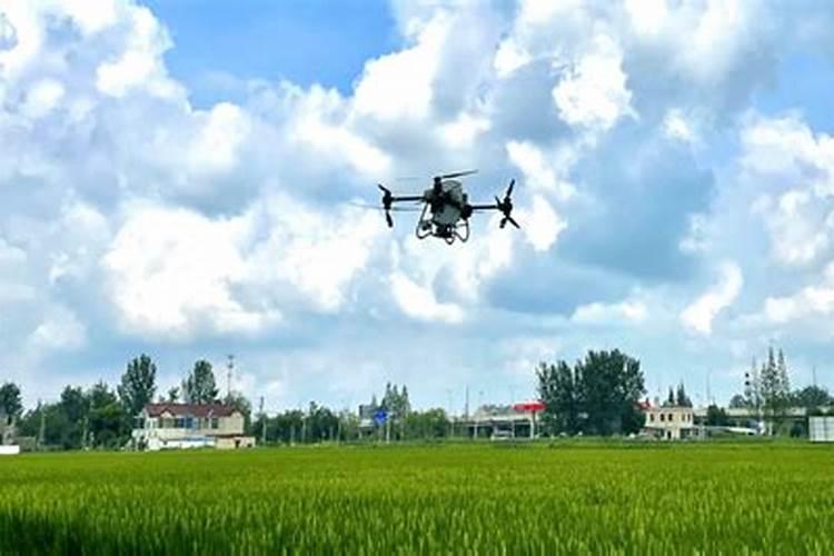 木头燃烧时为什么会有劈啪的响声