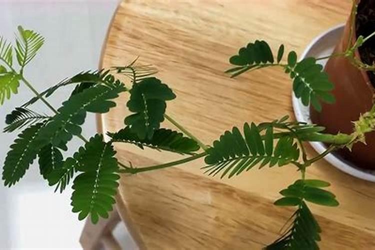 铜陵国企有哪些