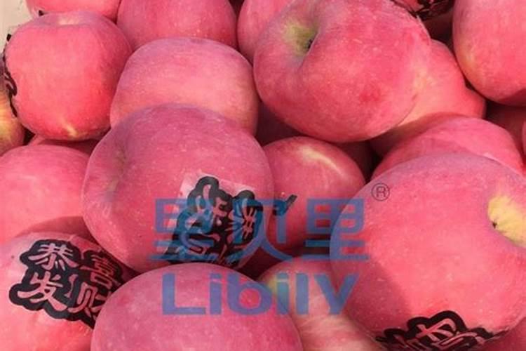 大枣种植如何管理能增产？大枣坐果期膨果增甜用什么肥料好