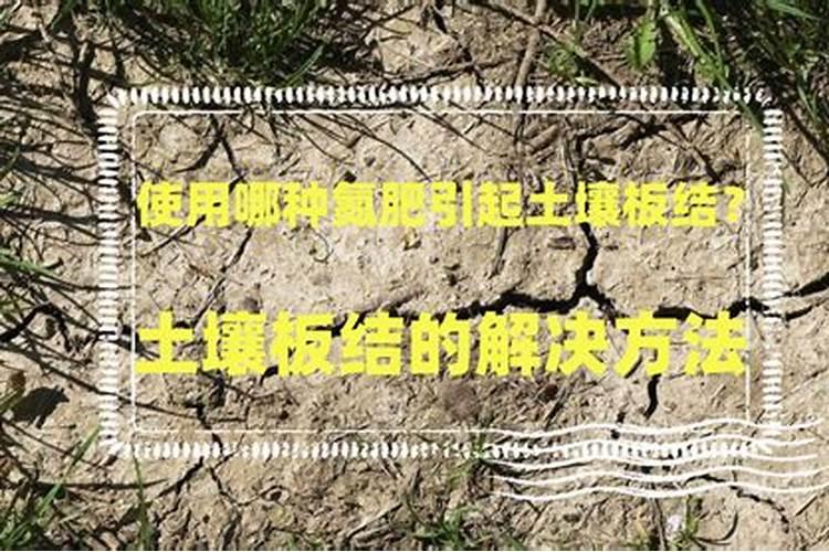 种植土豆用什么肥料最好