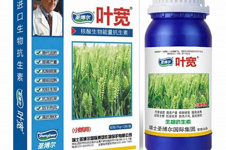 白术亩产量及效益