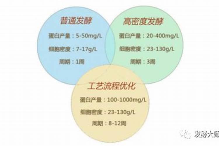 上水石的养护及打理