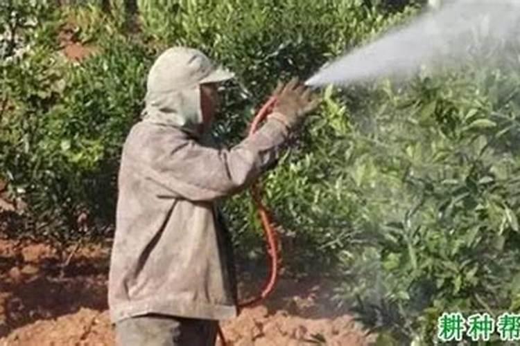 甘乐有机硅水溶肥的作用与功效