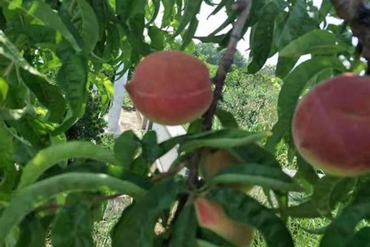 一部抢劫银行的电影,被解读成中年鸡汤,我是真的笑了