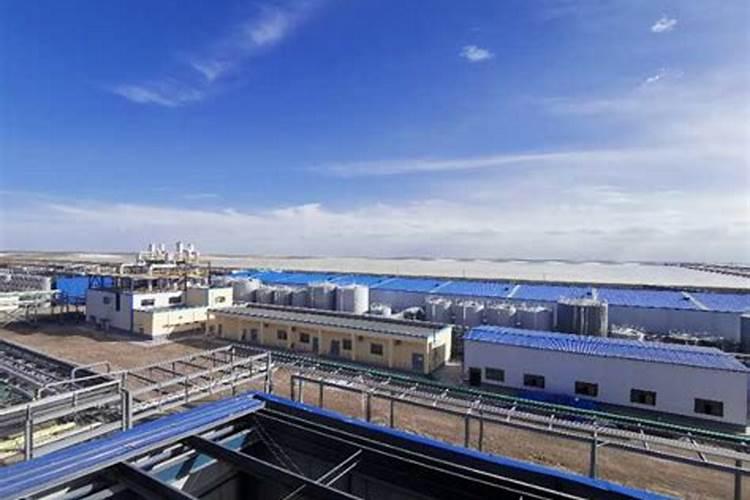 钙镁磷肥的施用方法及注意事项有哪些？