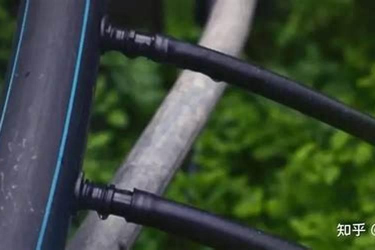 果树缺钙用什么肥料最适合