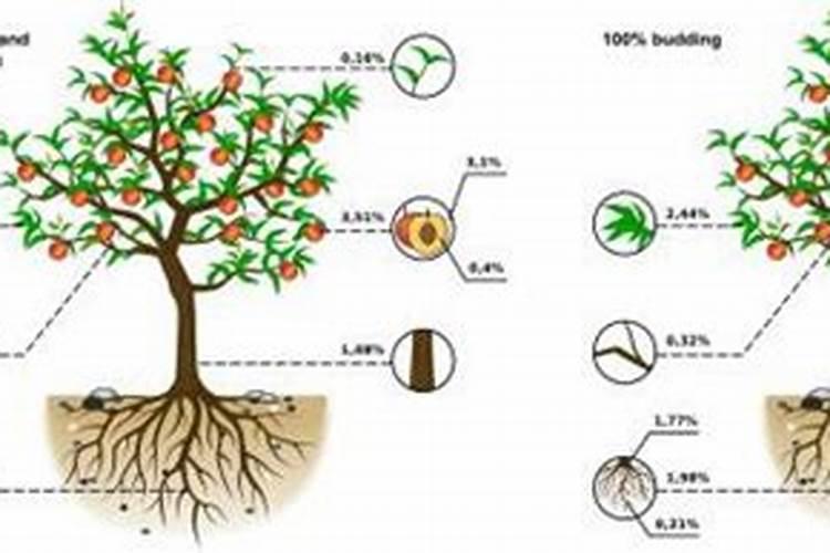 什么是无醇水性燃料油