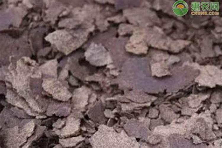 油枯发酵几天可以施肥