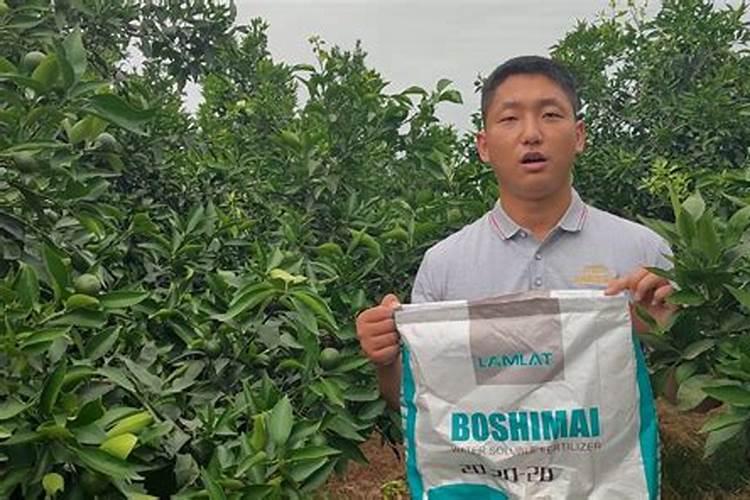 金弹子该施什么肥