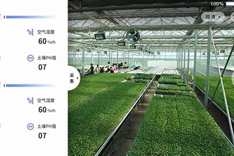 苗木越冬前养护管理方法