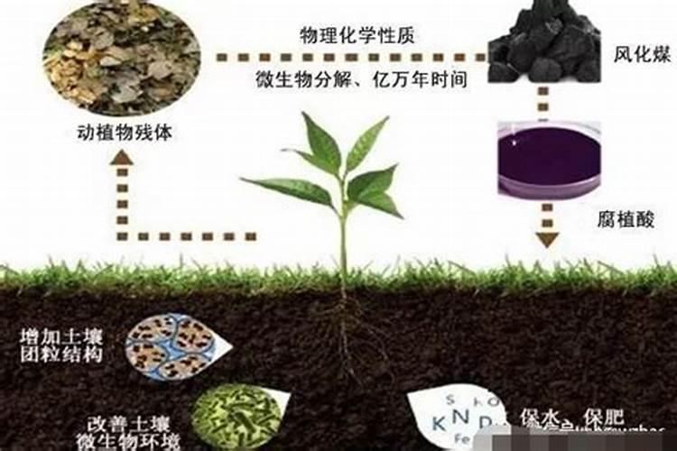 腐植酸盐 絮凝的 原因？怎么处理？谢谢