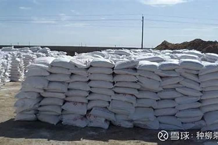 文竹底肥放什么肥好(底肥施用方法)